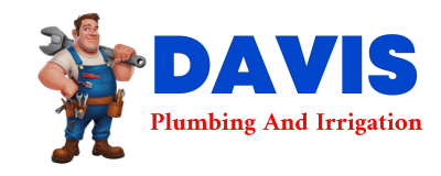 Trusted plumber in SWARTZ